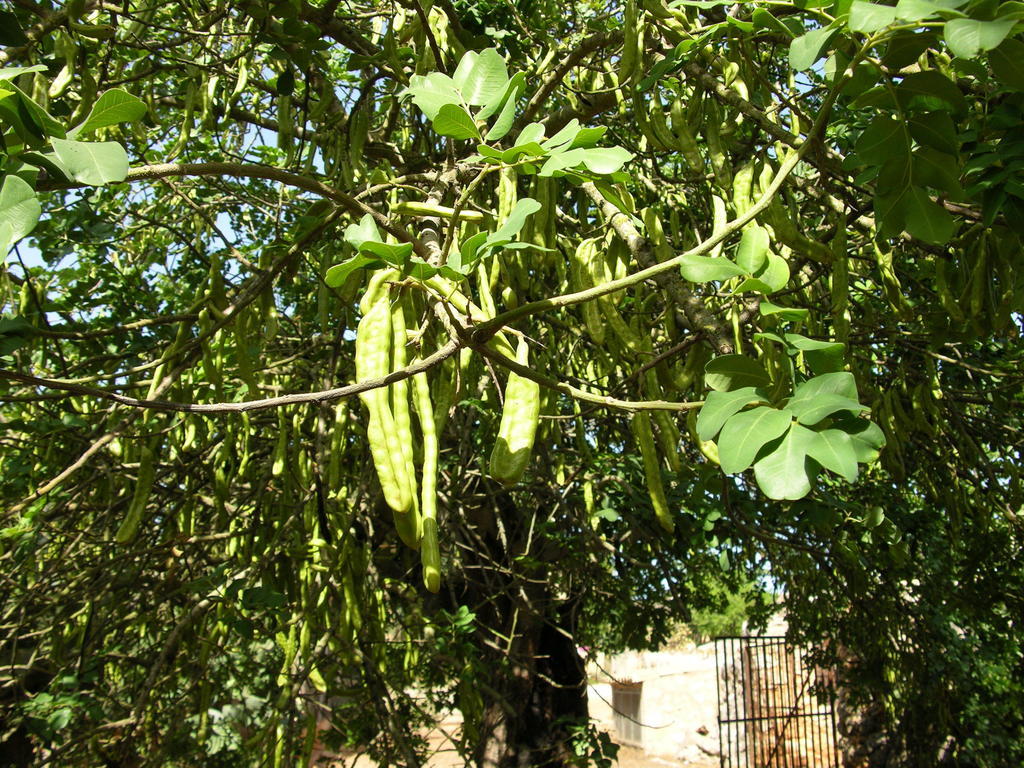 Finca Son Josep De Baix Calas de Mallorca Luaran gambar